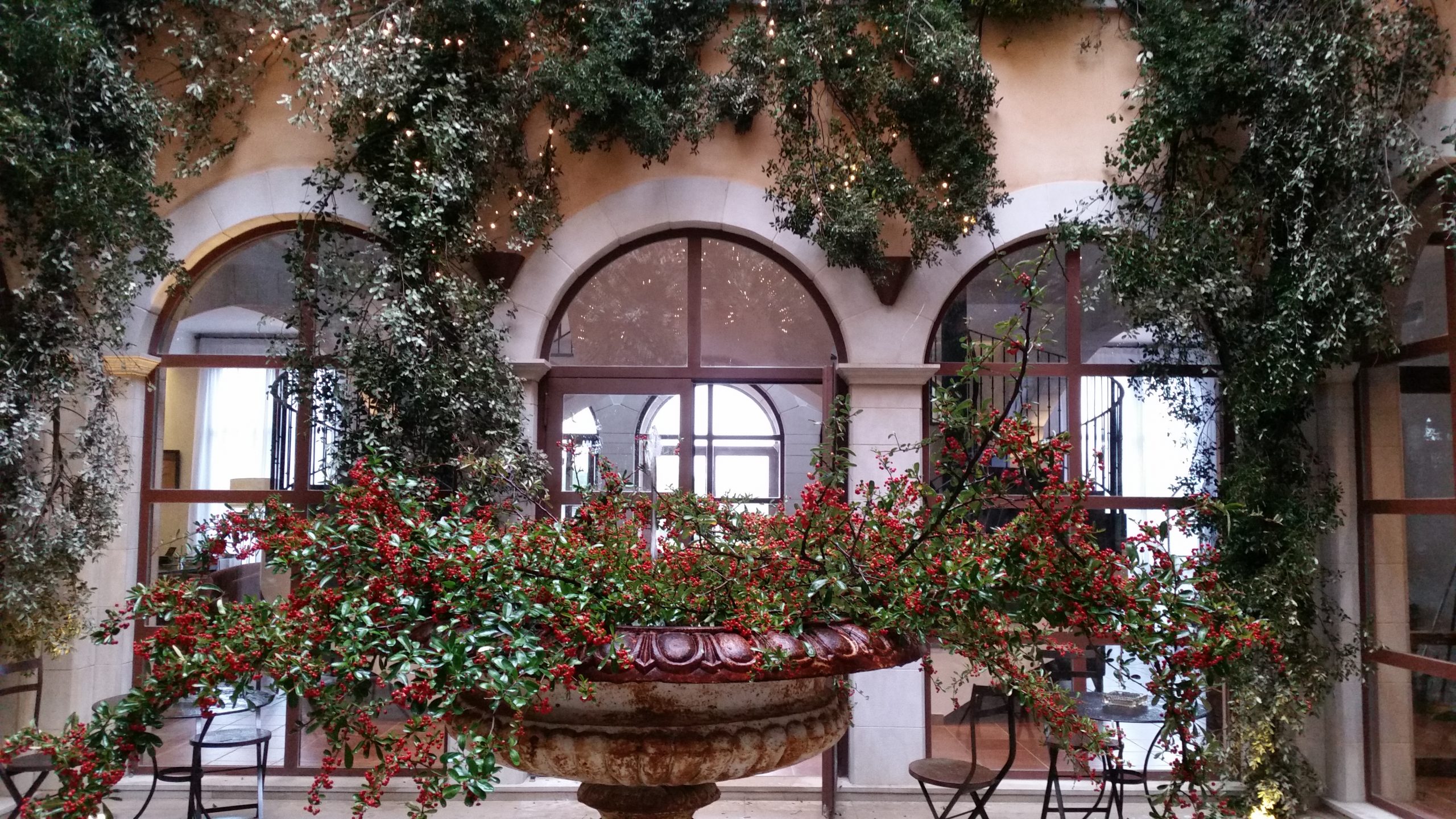 Patio interior